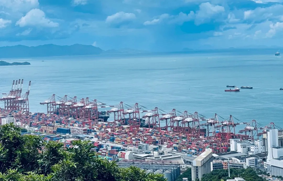 海运刑孤守读：首次内贸集装箱运输指南