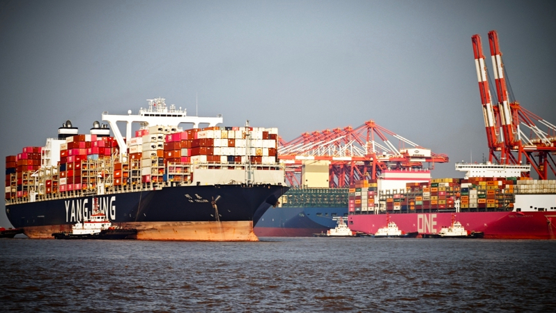 上海港内贸海运新年开门红，一月集装箱吞吐量超175万标准箱